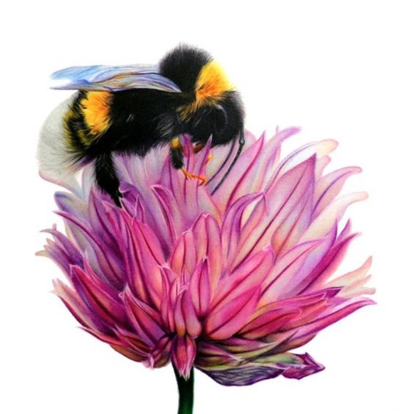 Meet your Posher, The Bitchin' B - Picture 1 of 1